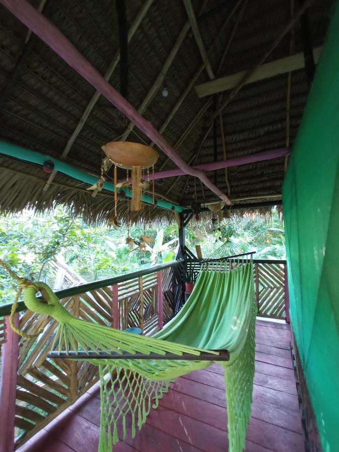 Hostal Buho Amazonas Tours Leticia Kültér fotó