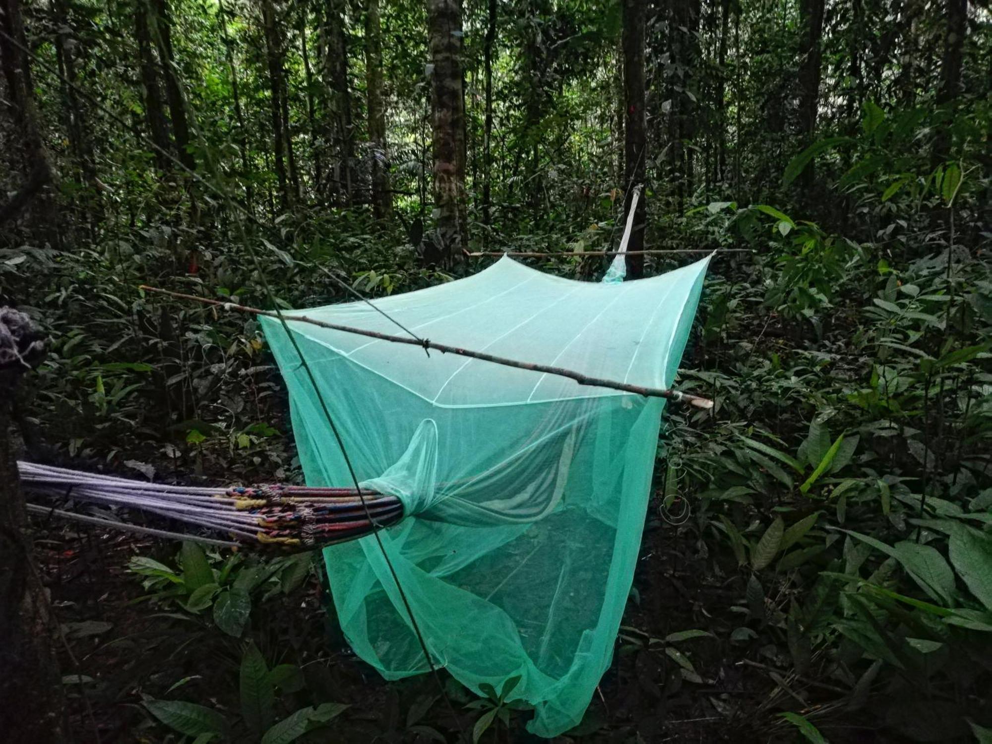 Hostal Buho Amazonas Tours Leticia Kültér fotó